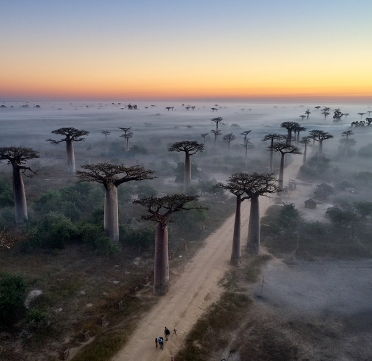 Madagascar: A Truly Unique Travel Destination