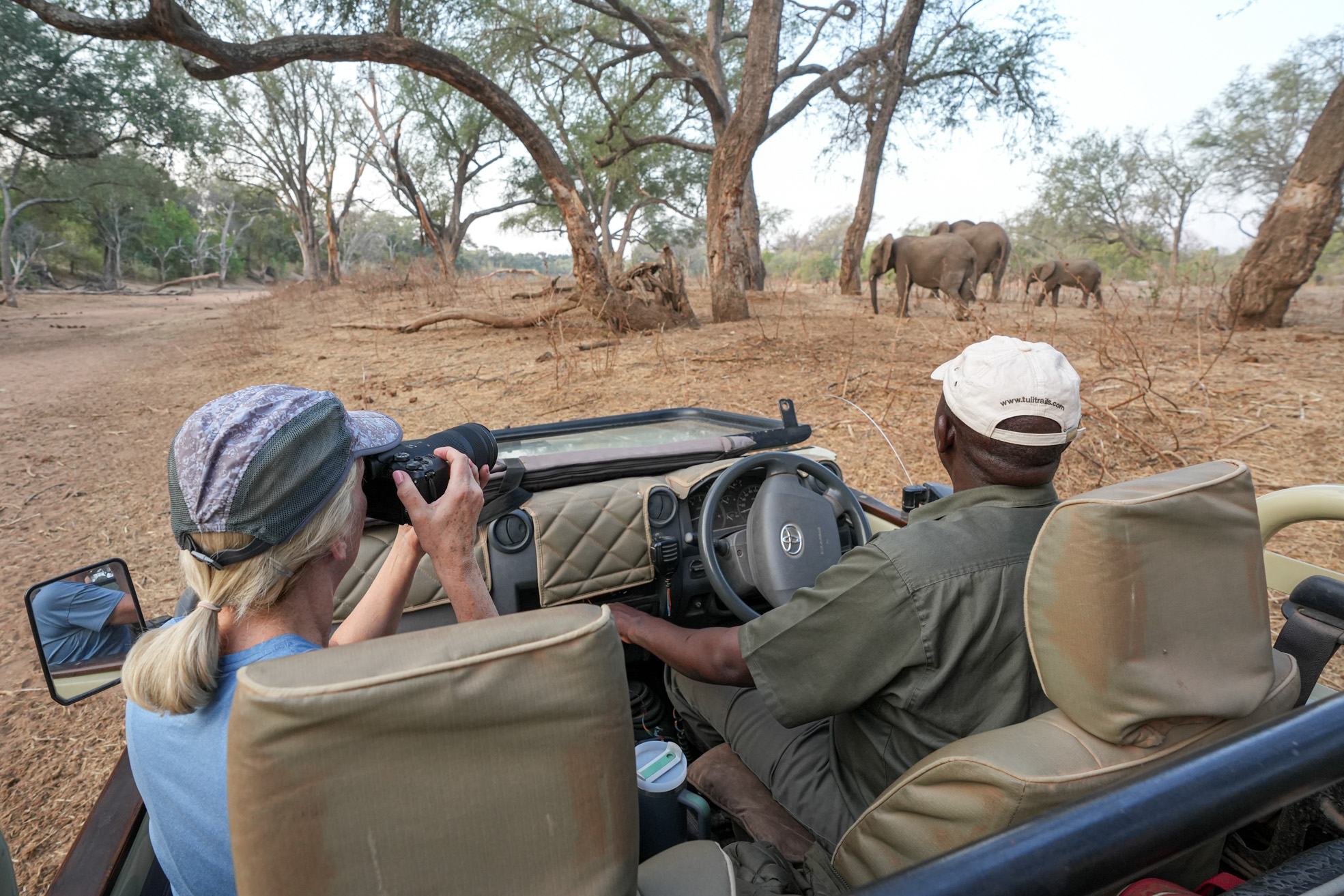 woman with a camera and a safari guide in an open vehicle observing a group of elephants