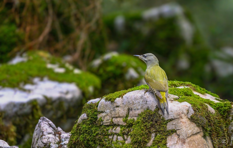 Slovenia photo tour_7