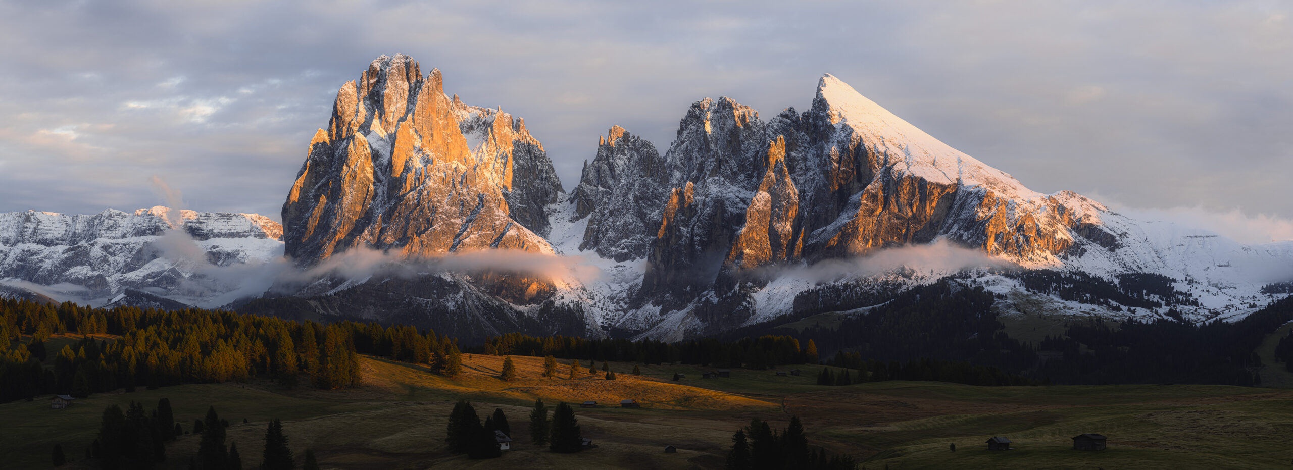 Sunlit snowy mountains above a forest and open fields