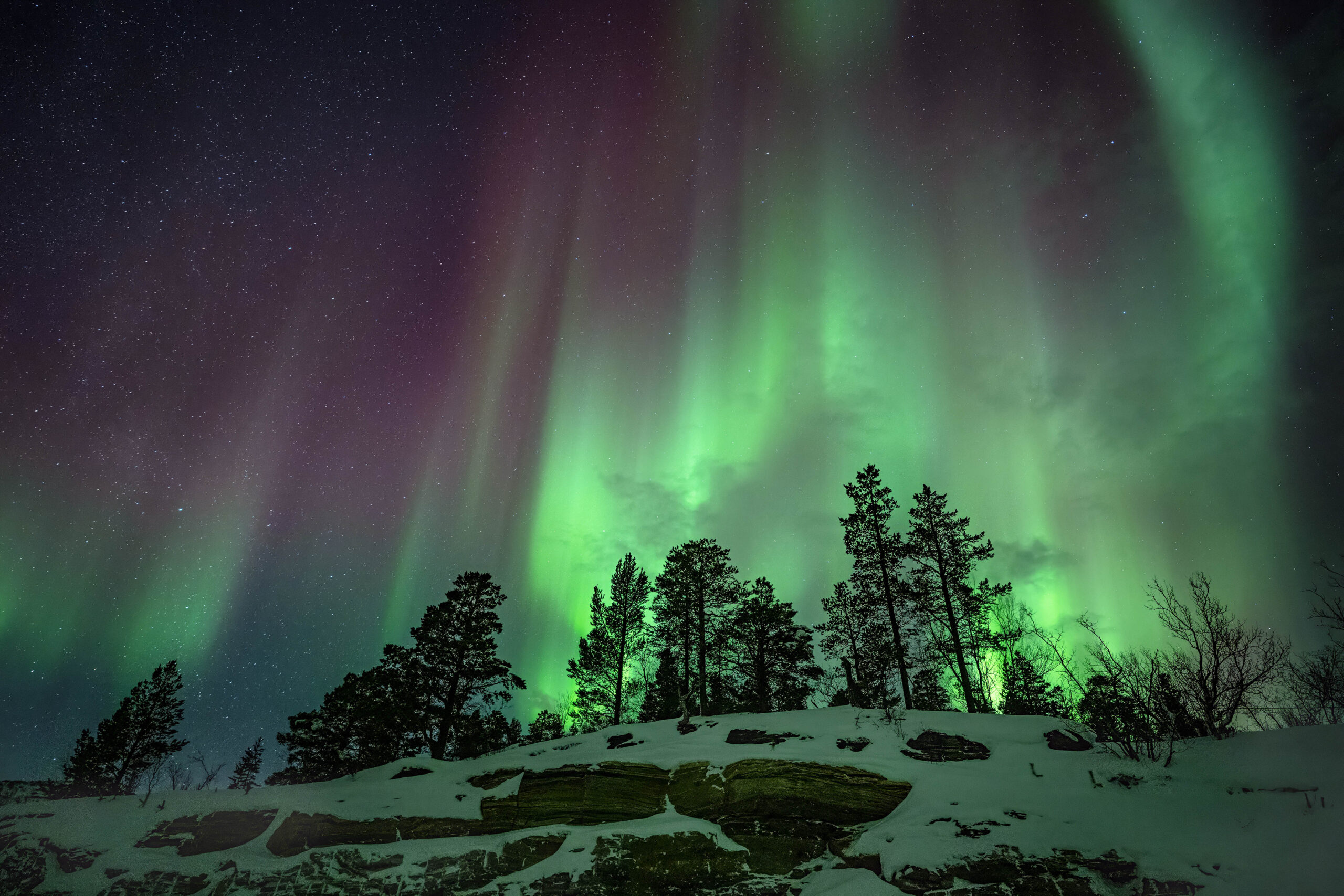 Northern lights glowing green and purple over a snowy forest at night