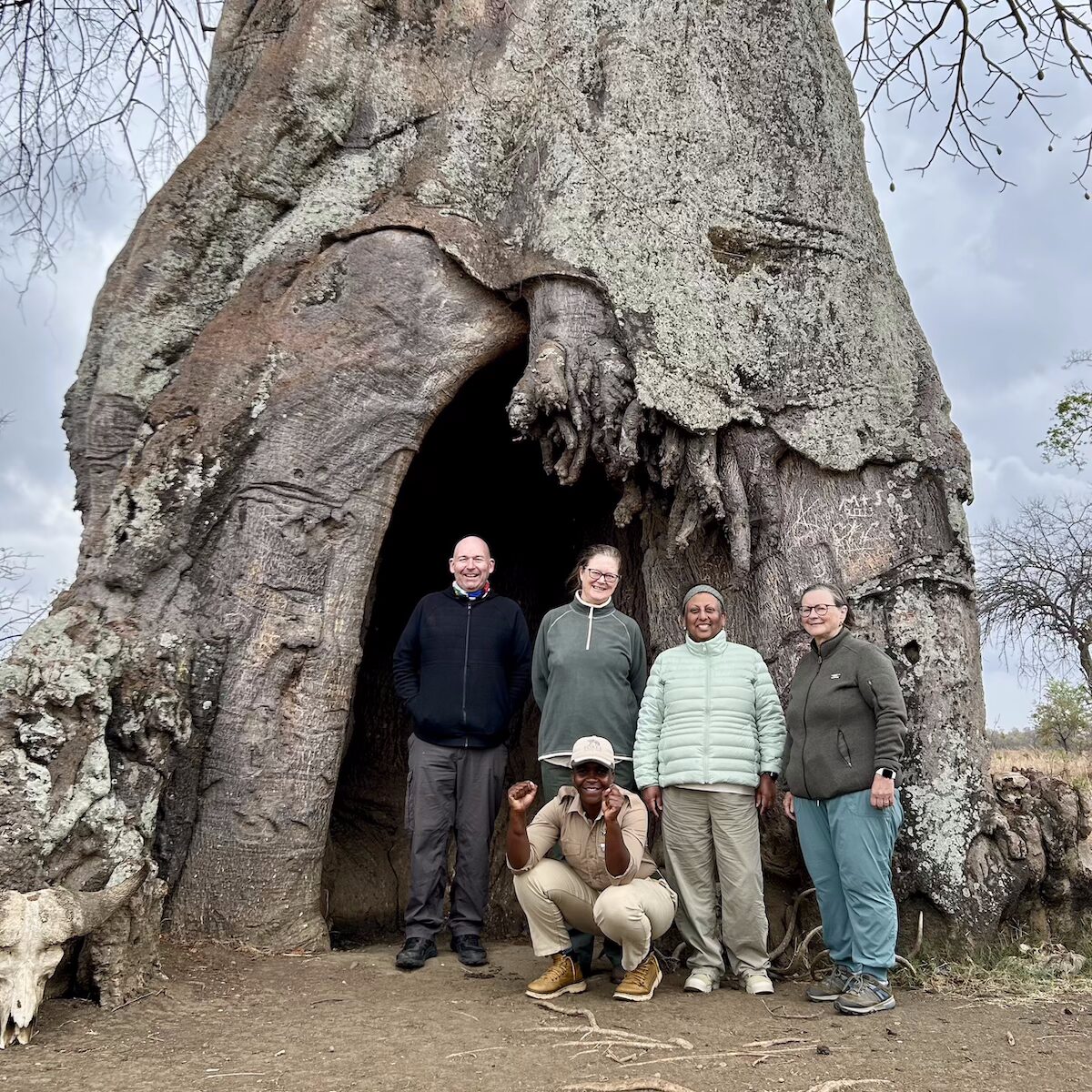 Group of five people posing in front of a massive hollow baobab tree