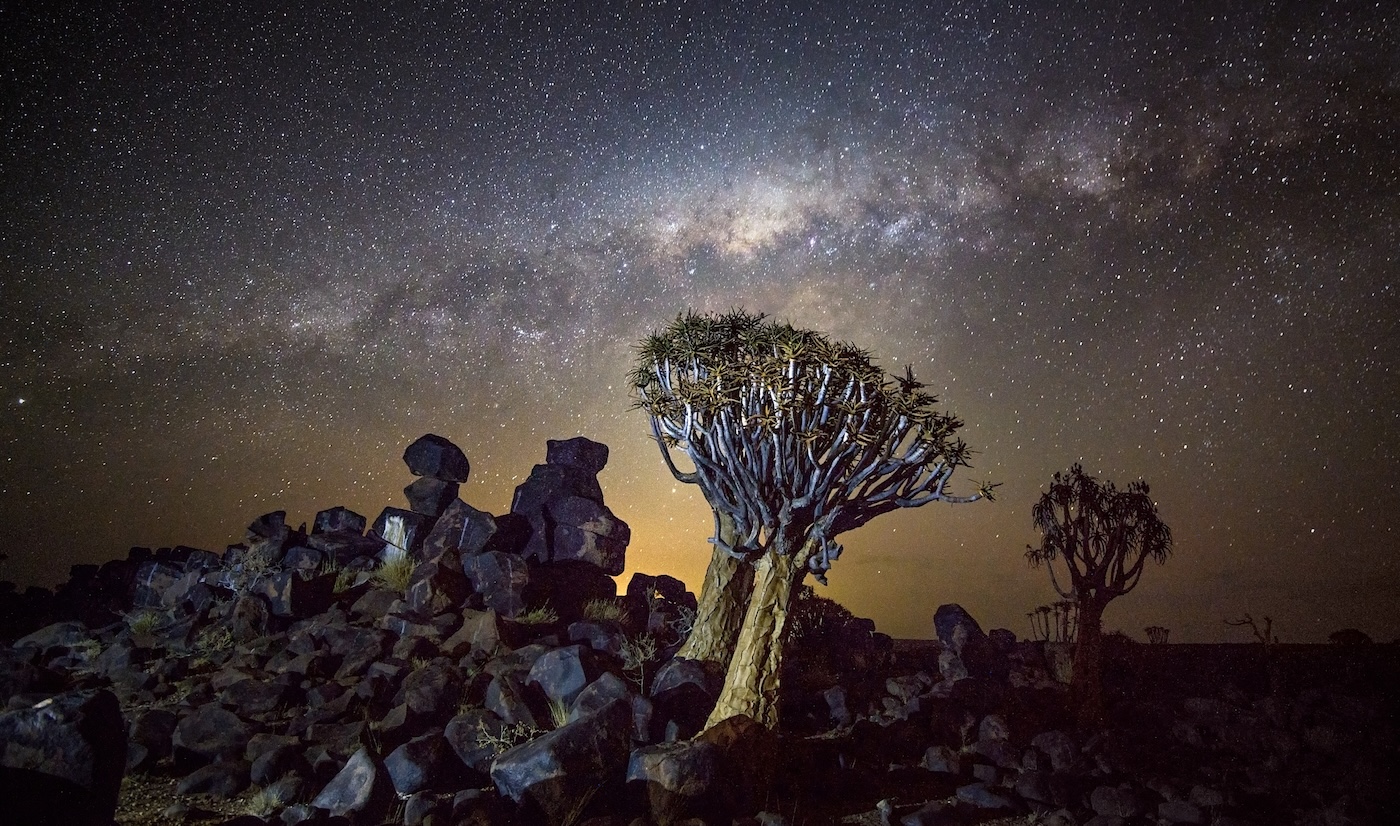 Starry night sky over rocky terrain and quiver trees