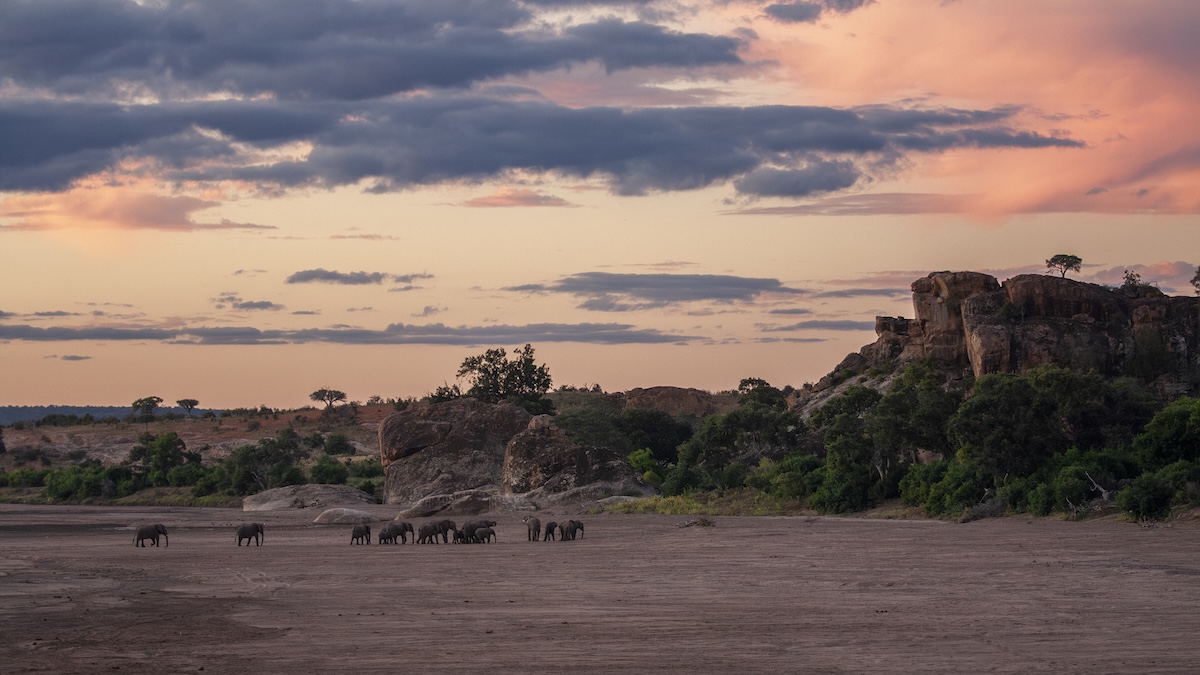 Herd of elephants walking across a dry landscape at sunset, with rocky hills and colorful clouds in the background