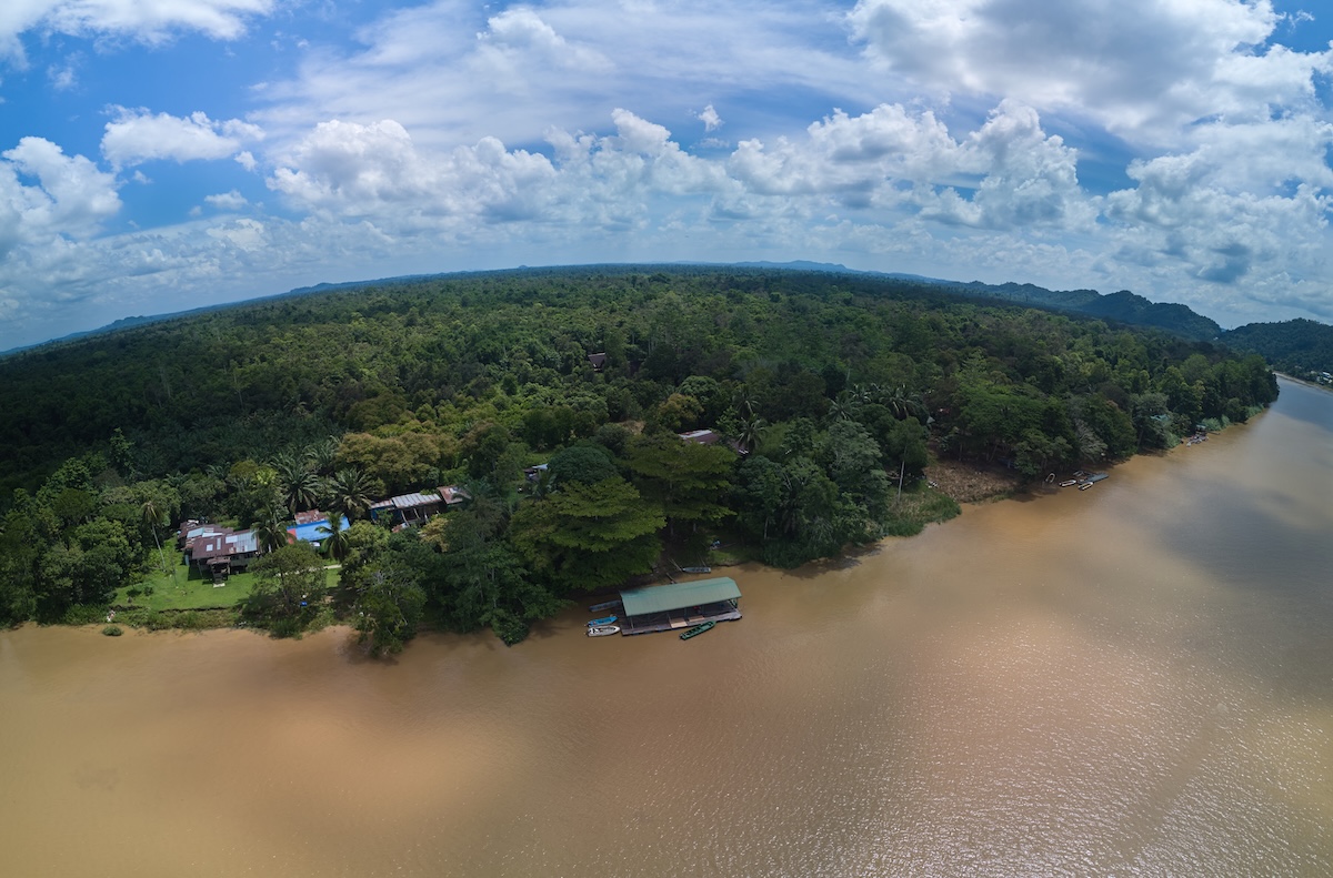 Borneo wildlife photography tour