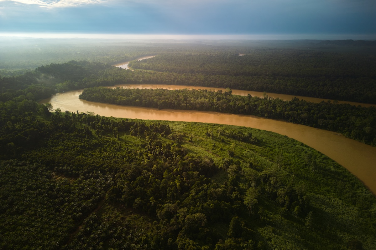 Borneo wildlife photography tour_2