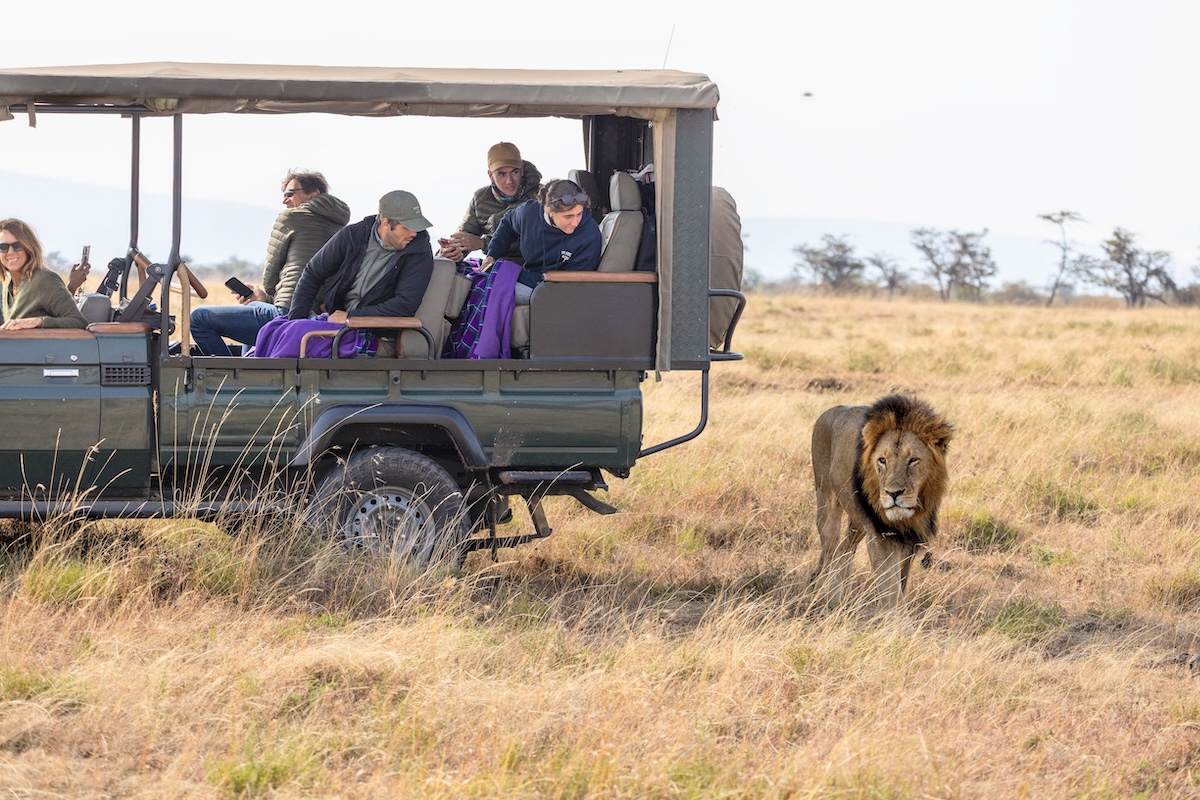 Maasai Mara photo safari