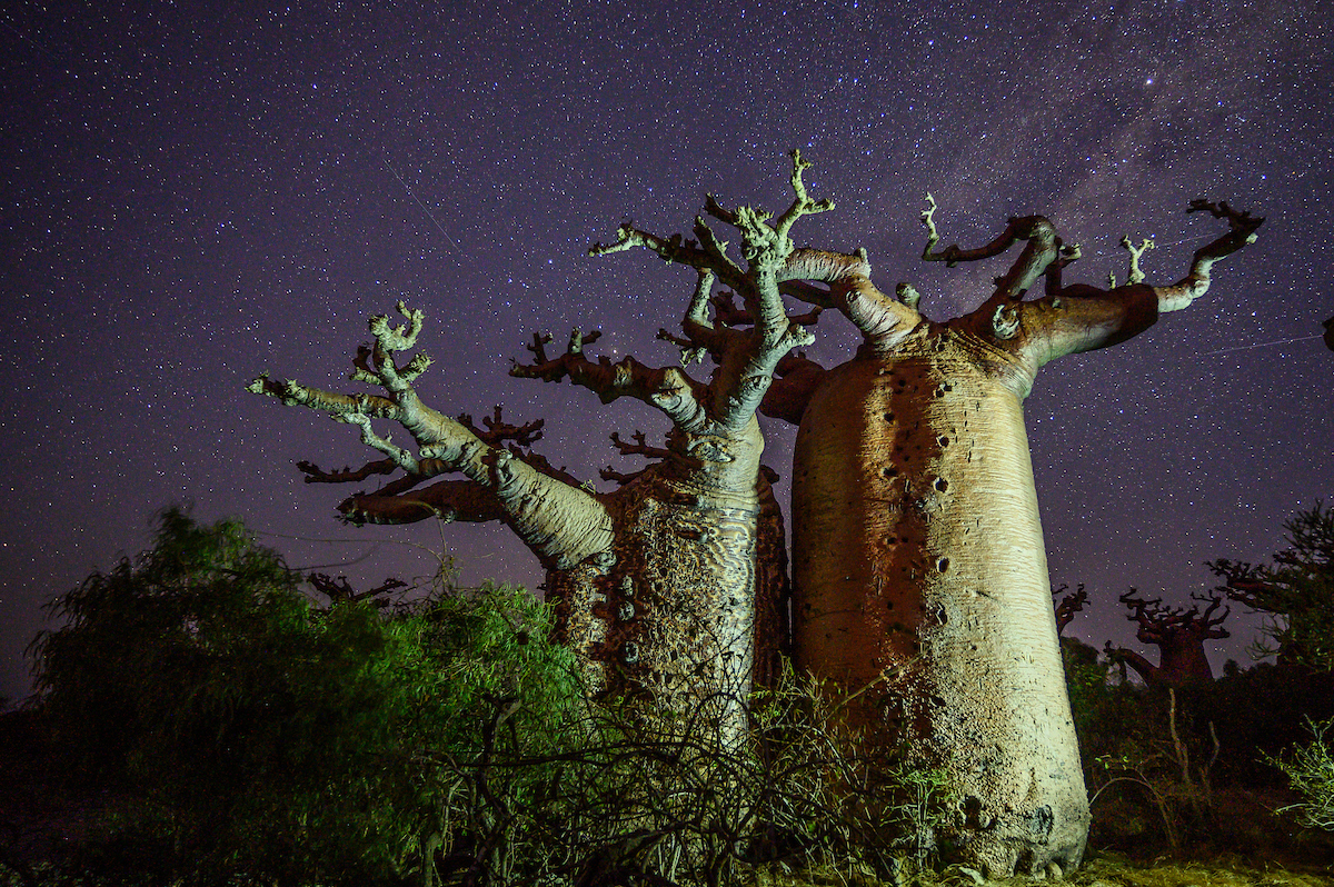 Madagascar photo tour