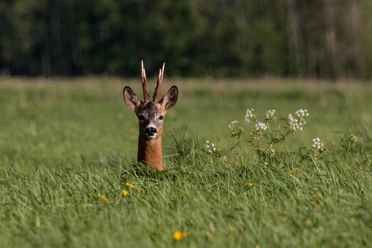 photo tour Estonia_9