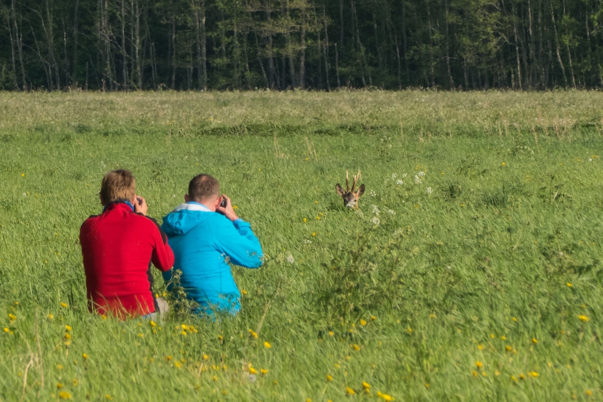 photo tour Estonia_8