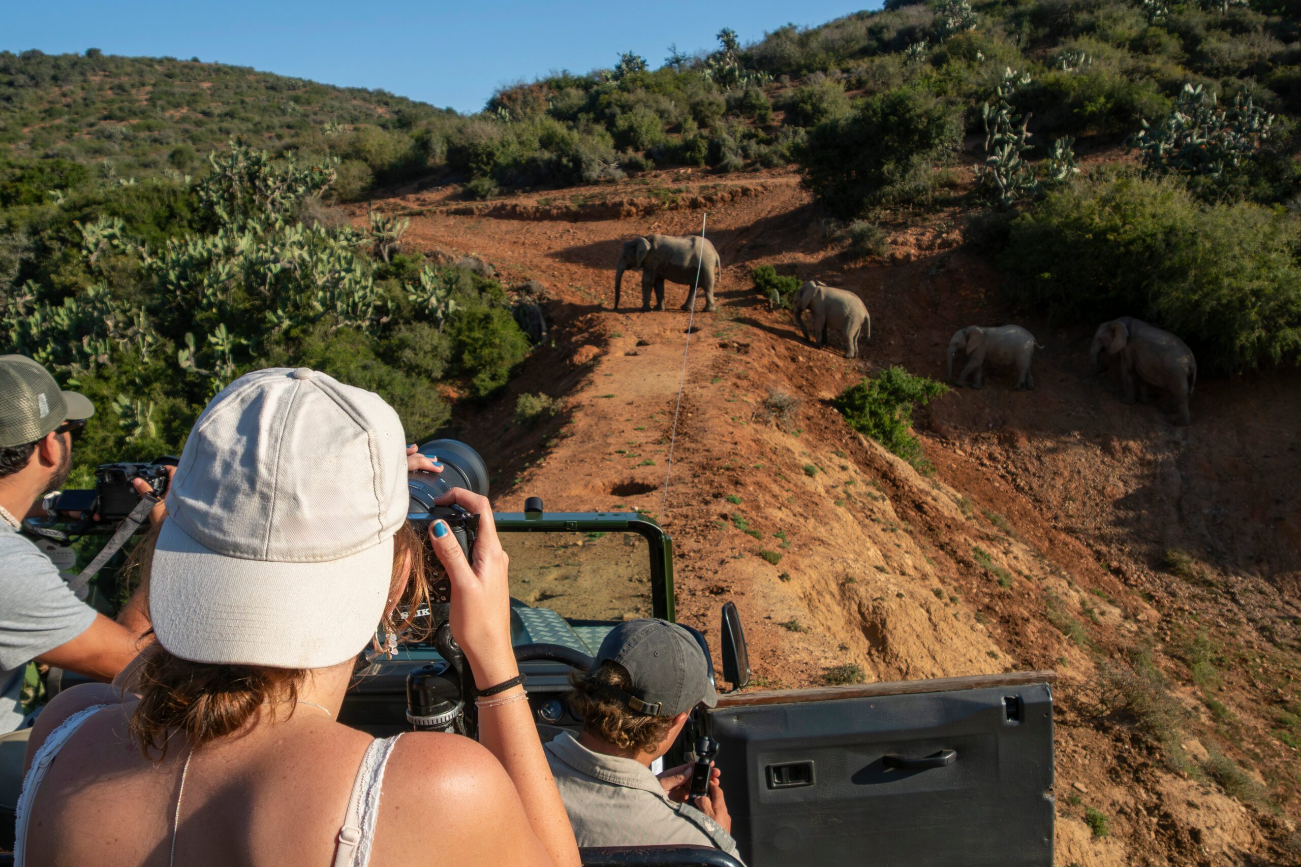 Safari vehicle with tourists observing a herd of elephants walking along a dirt path in a green, hilly landscape, with one person photographing the scene._10