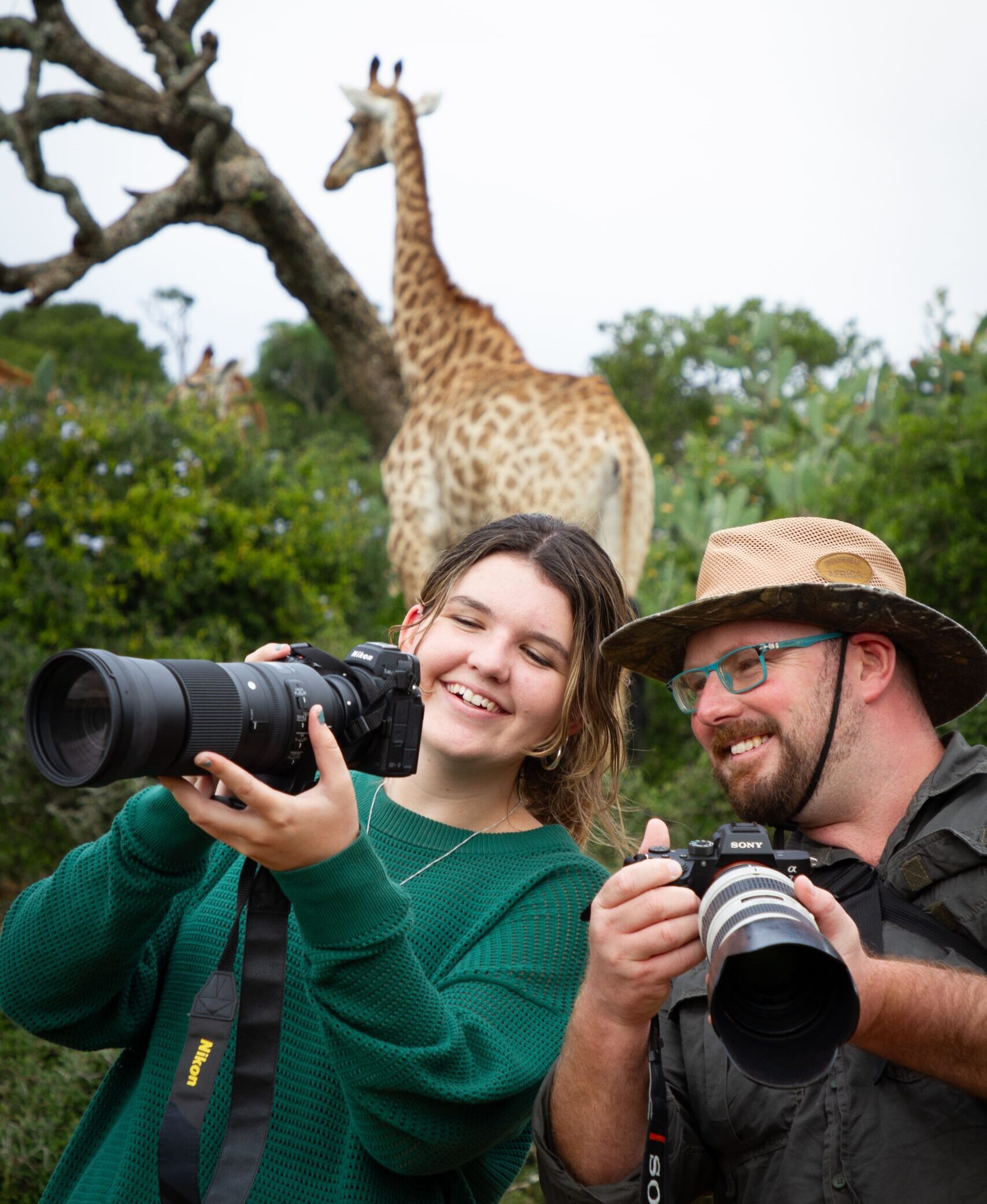 Giraffe behind photographers