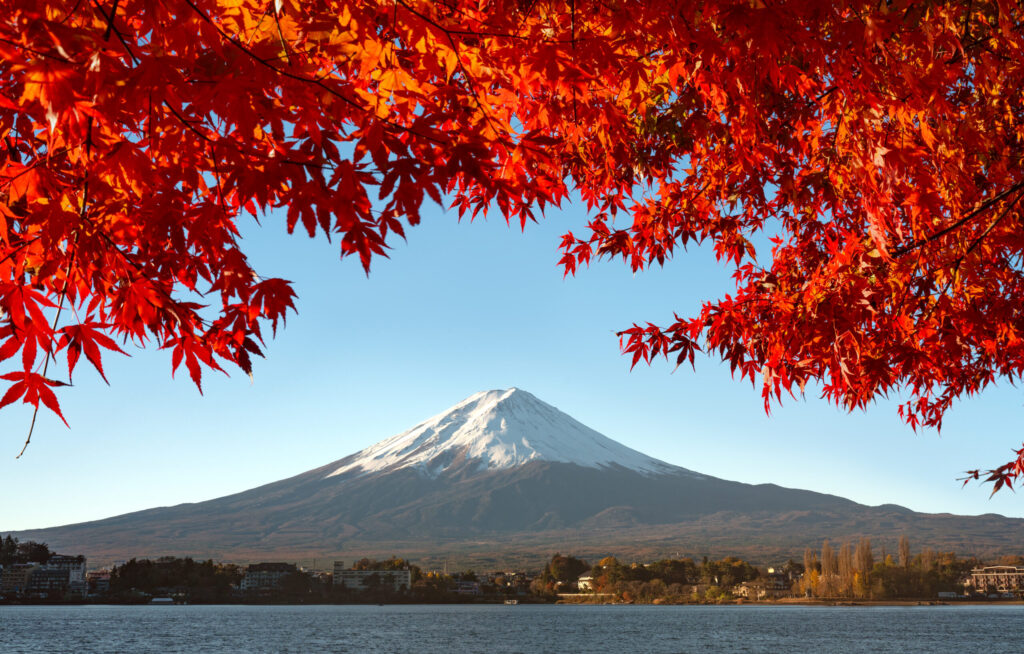 Colors of Japan Photo Tour